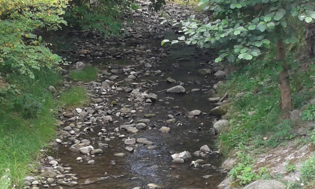 Pereszlenyi Vendeghaz Hotel Visegrad Bagian luar foto