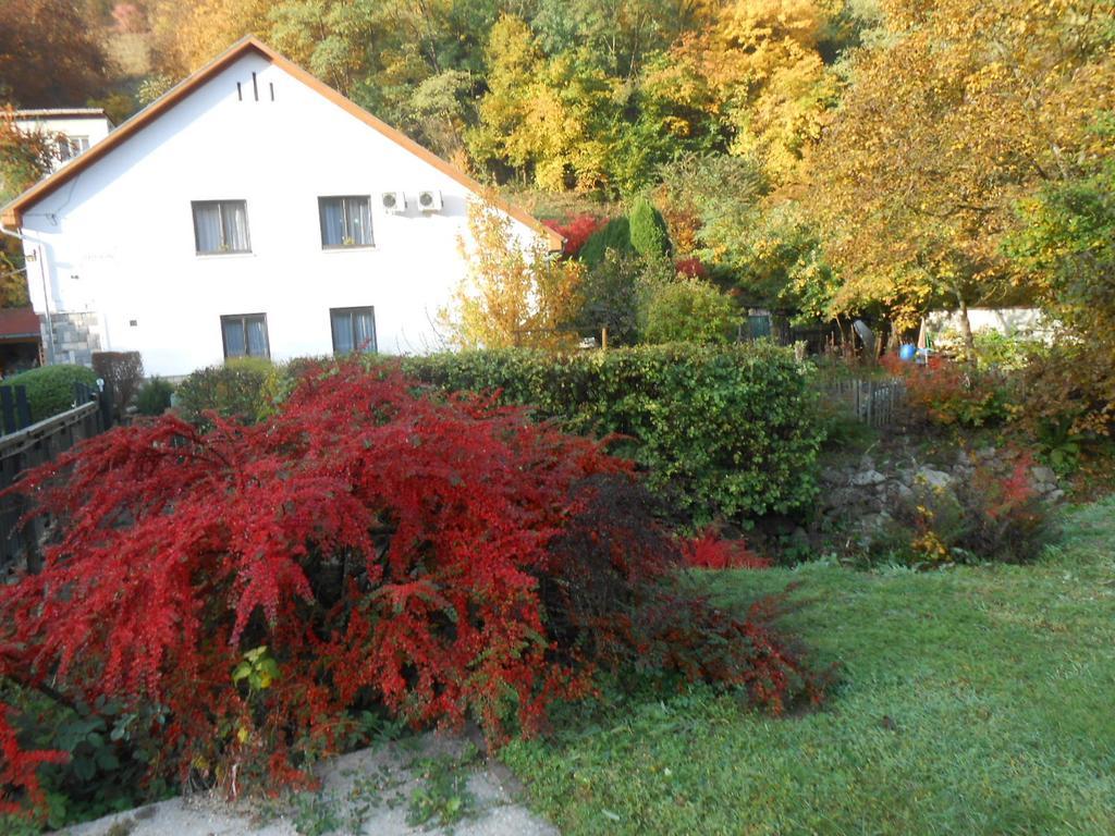 Pereszlenyi Vendeghaz Hotel Visegrad Bagian luar foto